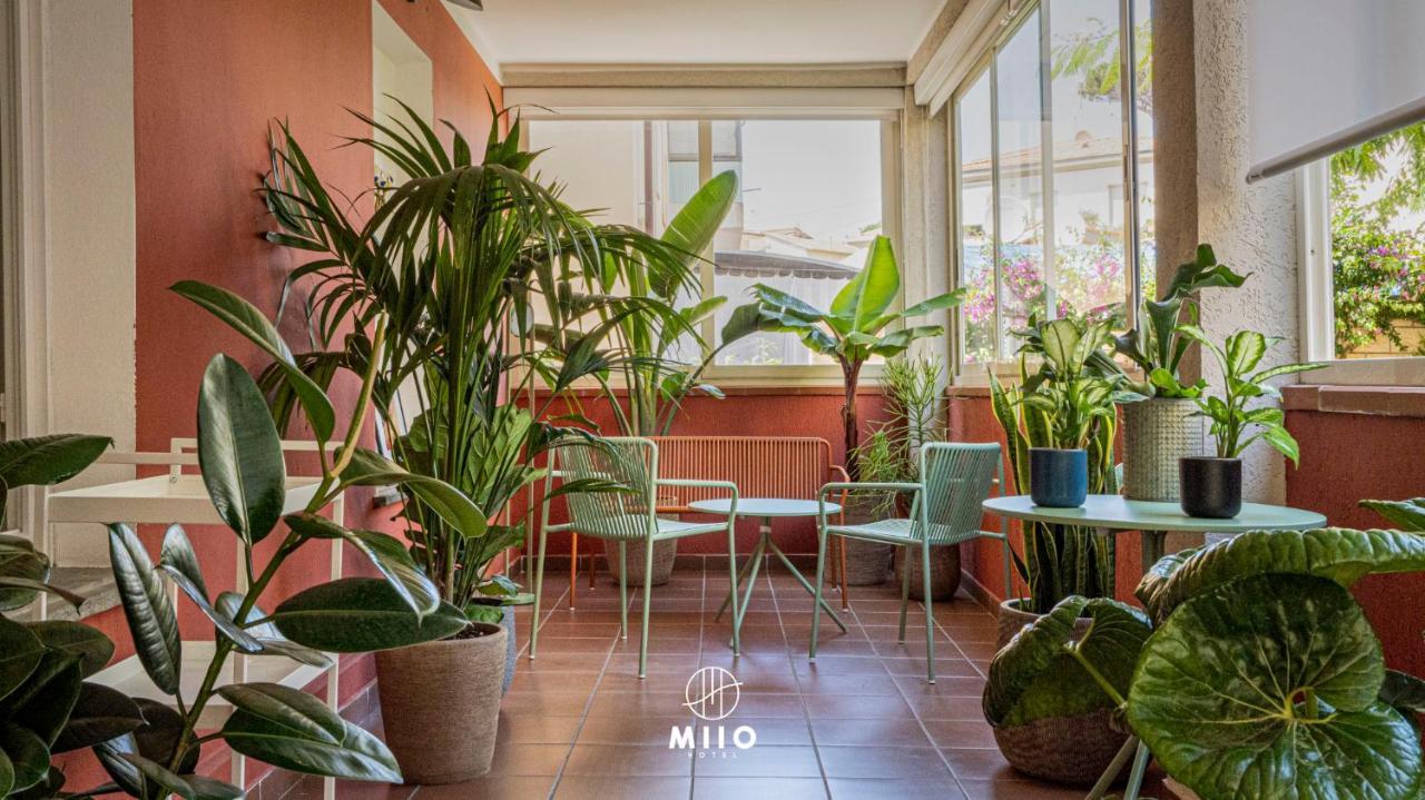 Miio Hotel San Vincenzo Kültér fotó
